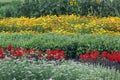 Flower bed with annuals in summertime Royalty Free Stock Photo