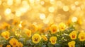 Flower Bed with beautiful tiny yellow pansies or viola Royalty Free Stock Photo