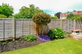 Flower bed with camelia tree, flowers and a fence in the back ga