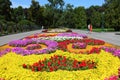 Flower bed with colorful bright blooms. Floral fantasy. Multicolored blooming plants. Natural blossom pattern. Beautiful city park