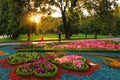 Flower bed with colorful bright blooms. Floral fantasy. Multicolored blooming plants. Natural blossom pattern. Beautiful city park