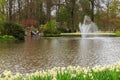 Daffodil foreground in the park at Keukenhof with fountain Royalty Free Stock Photo