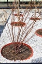 flower bed with decorative white stones and flower pot Royalty Free Stock Photo