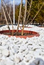 flower bed with decorative white stones and flower pot Royalty Free Stock Photo