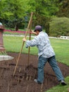 Flower-bed designing Royalty Free Stock Photo