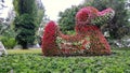 Flower bed in the form of ducks in the park Royalty Free Stock Photo