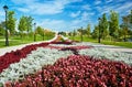 Flower bed in formal garden Royalty Free Stock Photo