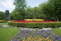 Flower bed in a formal garden Royalty Free Stock Photo