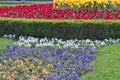 Flower bed in formal garden Royalty Free Stock Photo