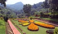 Flower bed in garden