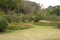 Flower bed , lawn and plants arranged in Qingxiu mountain Royalty Free Stock Photo