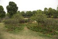 Flower bed and plants arranged in Qingxiu mountain spring Royalty Free Stock Photo