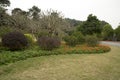 Flower bed,lawn and plants arranged in Qingxiu mountain spring