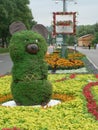 Flower bed in Moscow. Floral exhibition.