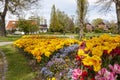 A flower bed of multi-colored terry tulips and other flowers on the shores of Lake Constance Royalty Free Stock Photo