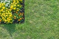 Flower bed with orange, yellow & white flowers surrounded by green lawn