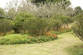 Flower bed and plants arranged in Qingxiu mountain spring Royalty Free Stock Photo