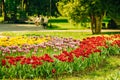 A flower bed in the city park