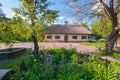 A flower bed with small beautiful flowers and green leaves against the background of an old authenic Ukrainian hut Royalty Free Stock Photo