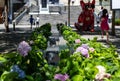 A flower bed and a small pond in a city park in the modern district of Beijing. A shot with an open diaphragm where kids play