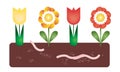 Flower bed with soil and earthworm under the ground - suitable a