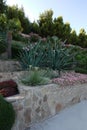 A flower bed on stone cascades of flowering and exotic leafy plants Royalty Free Stock Photo