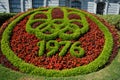 Flower bed for the 40th aniversary