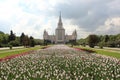 A flower bed of tulips and main building of Moscow State University Royalty Free Stock Photo