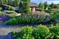 Flower bed of various cereals surrounded by granite paving