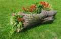 Flower Bed in a wooden log of Formal Garden Royalty Free Stock Photo