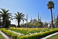 Flower bed of yellow blooming tulips against the background of the Blue Mosque in Istanbul, Turkey