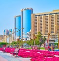 The flower beds of Creek Side Park and Deira Twin Towers, on March 1 in Dubai, UAE Royalty Free Stock Photo