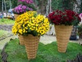 Flower beds in the form of ice cream cones