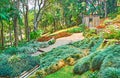 Flower beds of grasses in Mae Fah Luang garden, Doi Tung, Thailand Royalty Free Stock Photo