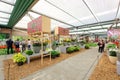 Flower beds of Keukenhof Gardens in Lisse, Netherlands Royalty Free Stock Photo