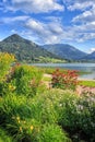 Flower beds at Lake Schliersee, Bavaria, Germany