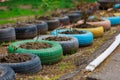 Flower beds in old rubber tires. Harsh urban scenery in poor countries. Background with selective focus and copy space