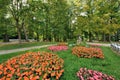 Flower beds. Park of Bad Hall Royalty Free Stock Photo