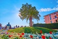 Flower beds on Piazza Giosue Carducci, Sirmione, Italy Royalty Free Stock Photo