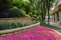 Flower-beds in shade of trees