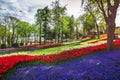 Flower beds in the tulip festival at Emirgan Park, Istanbul Royalty Free Stock Photo