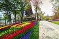 Flower beds in the tulip festival at Emirgan Park, Istanbul Royalty Free Stock Photo