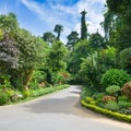 Flower beds with walking path