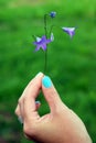 Flower bell in hand