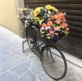 Flower bicycle in Florence Italy