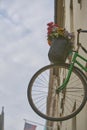 Flower on a bicycle on wall Royalty Free Stock Photo
