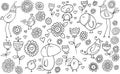 Flower Bird Doodle Set Royalty Free Stock Photo