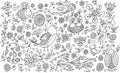 Flower Bird Doodle Vector Set Royalty Free Stock Photo