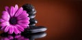 Flower with black stones Royalty Free Stock Photo