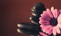 Flower with black stones Royalty Free Stock Photo